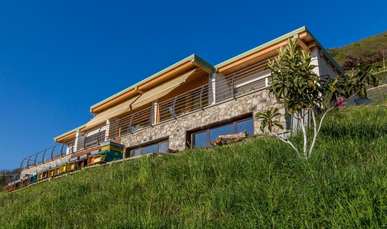 بيسوني Agriturismo Alveare Sul Lago المظهر الخارجي الصورة