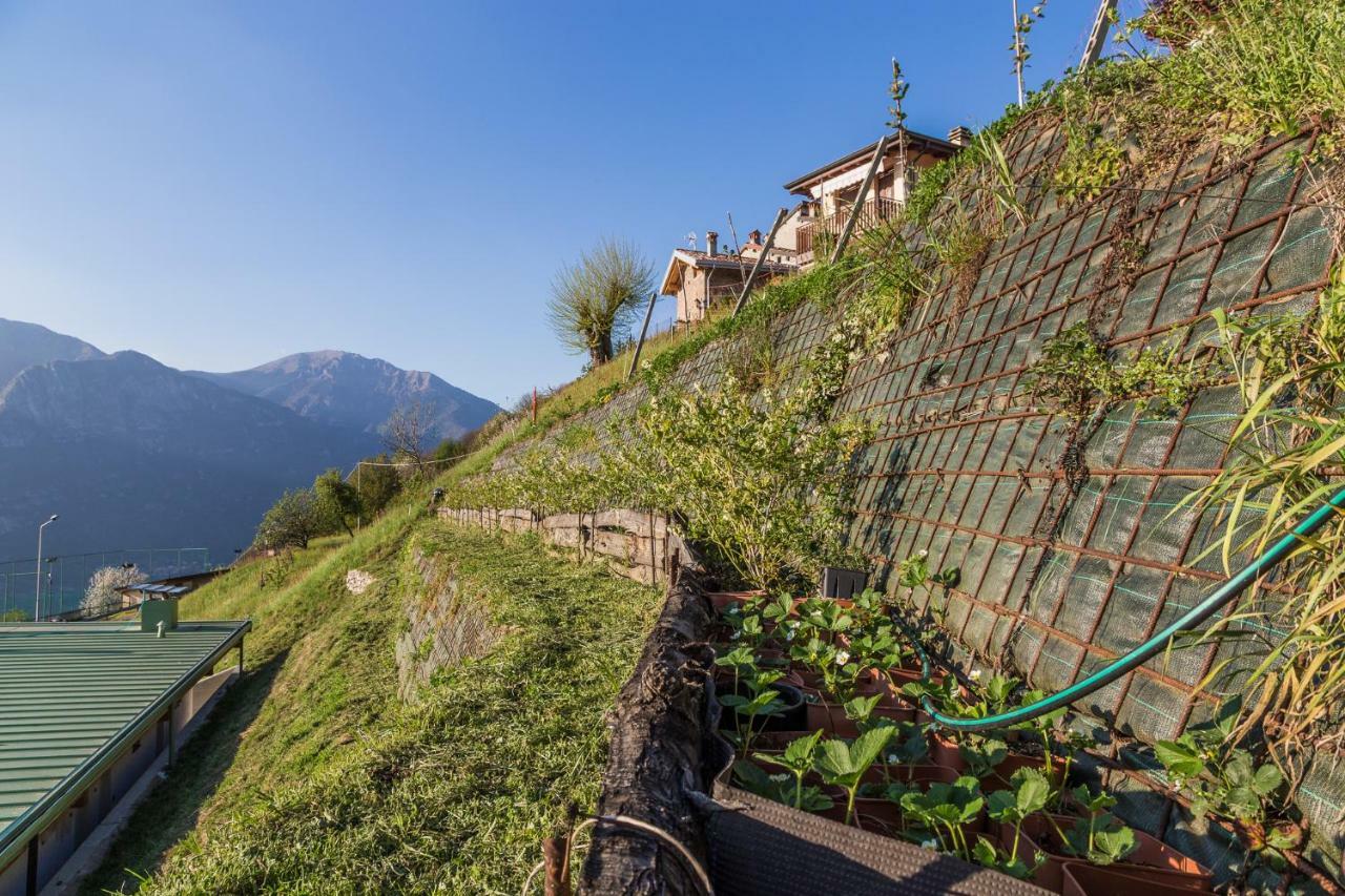 بيسوني Agriturismo Alveare Sul Lago المظهر الخارجي الصورة