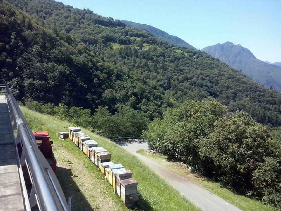 بيسوني Agriturismo Alveare Sul Lago المظهر الخارجي الصورة
